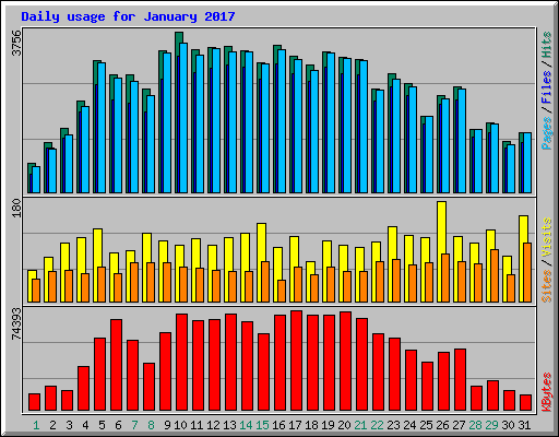 Daily usage for January 2017