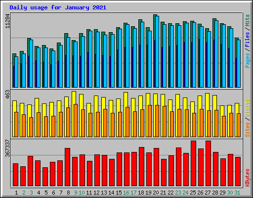 Daily usage for January 2021