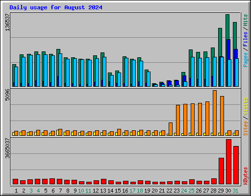 Daily usage for August 2024