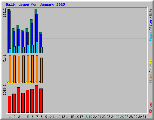 Daily usage for January 2025