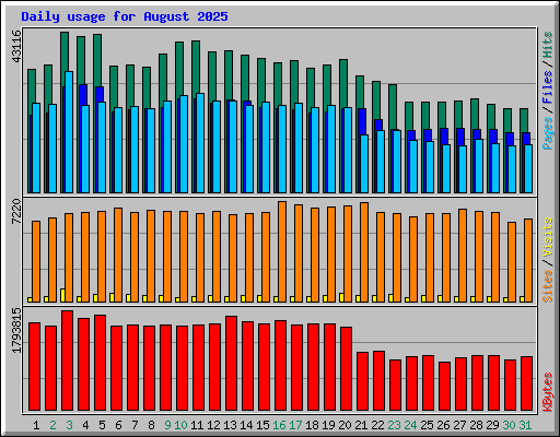Daily usage for August 2025
