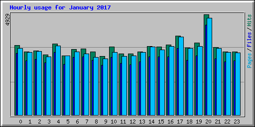 Hourly usage for January 2017