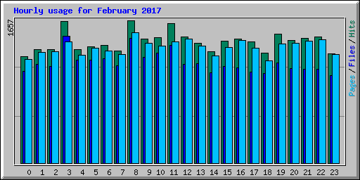 Hourly usage for February 2017