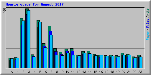 Hourly usage for August 2017