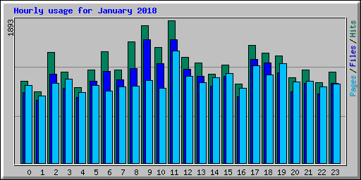 Hourly usage for January 2018