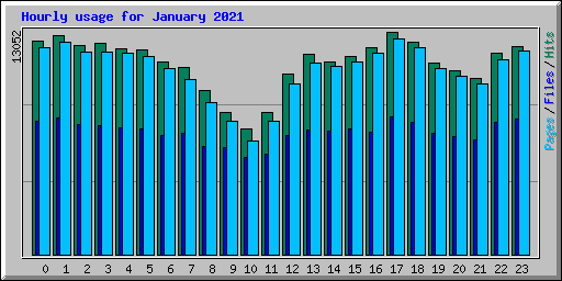 Hourly usage for January 2021