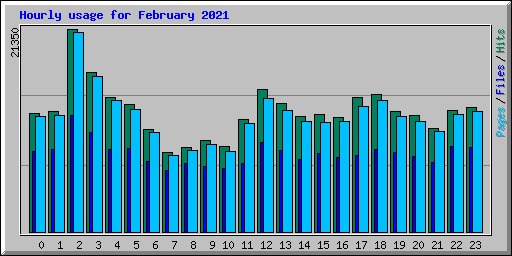 Hourly usage for February 2021