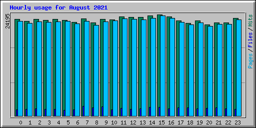 Hourly usage for August 2021