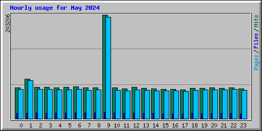 Hourly usage for May 2024