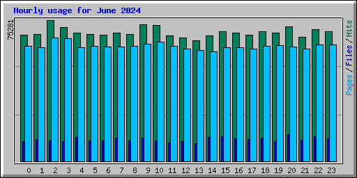 Hourly usage for June 2024