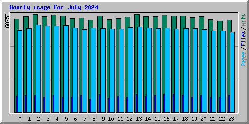 Hourly usage for July 2024