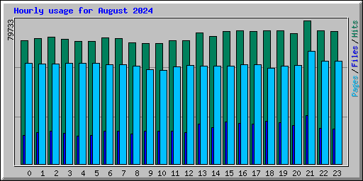 Hourly usage for August 2024