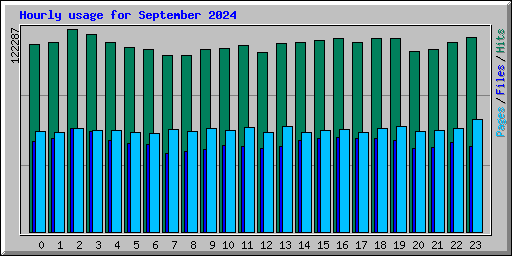 Hourly usage for September 2024