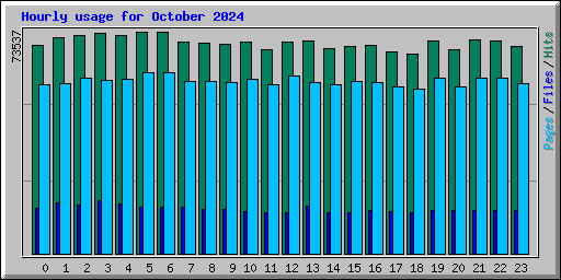 Hourly usage for October 2024