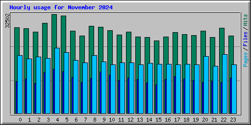 Hourly usage for November 2024