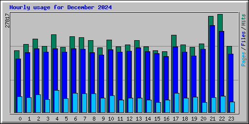 Hourly usage for December 2024