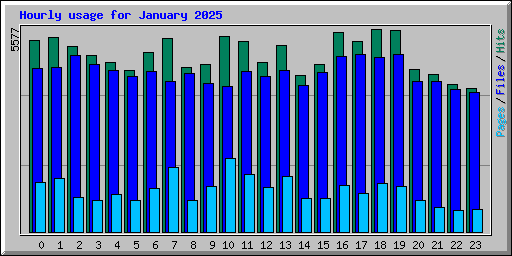 Hourly usage for January 2025