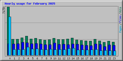 Hourly usage for February 2025