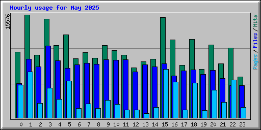 Hourly usage for May 2025