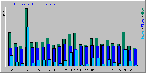 Hourly usage for June 2025