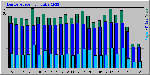 Hourly usage for July 2025