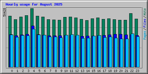 Hourly usage for August 2025