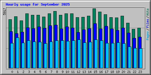 Hourly usage for September 2025