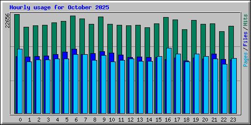 Hourly usage for October 2025