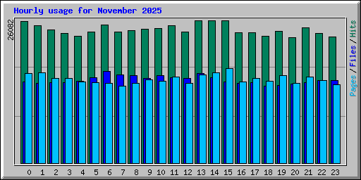 Hourly usage for November 2025