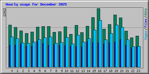 Hourly usage for December 2025