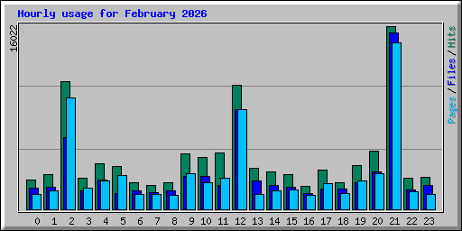 Hourly usage for February 2026